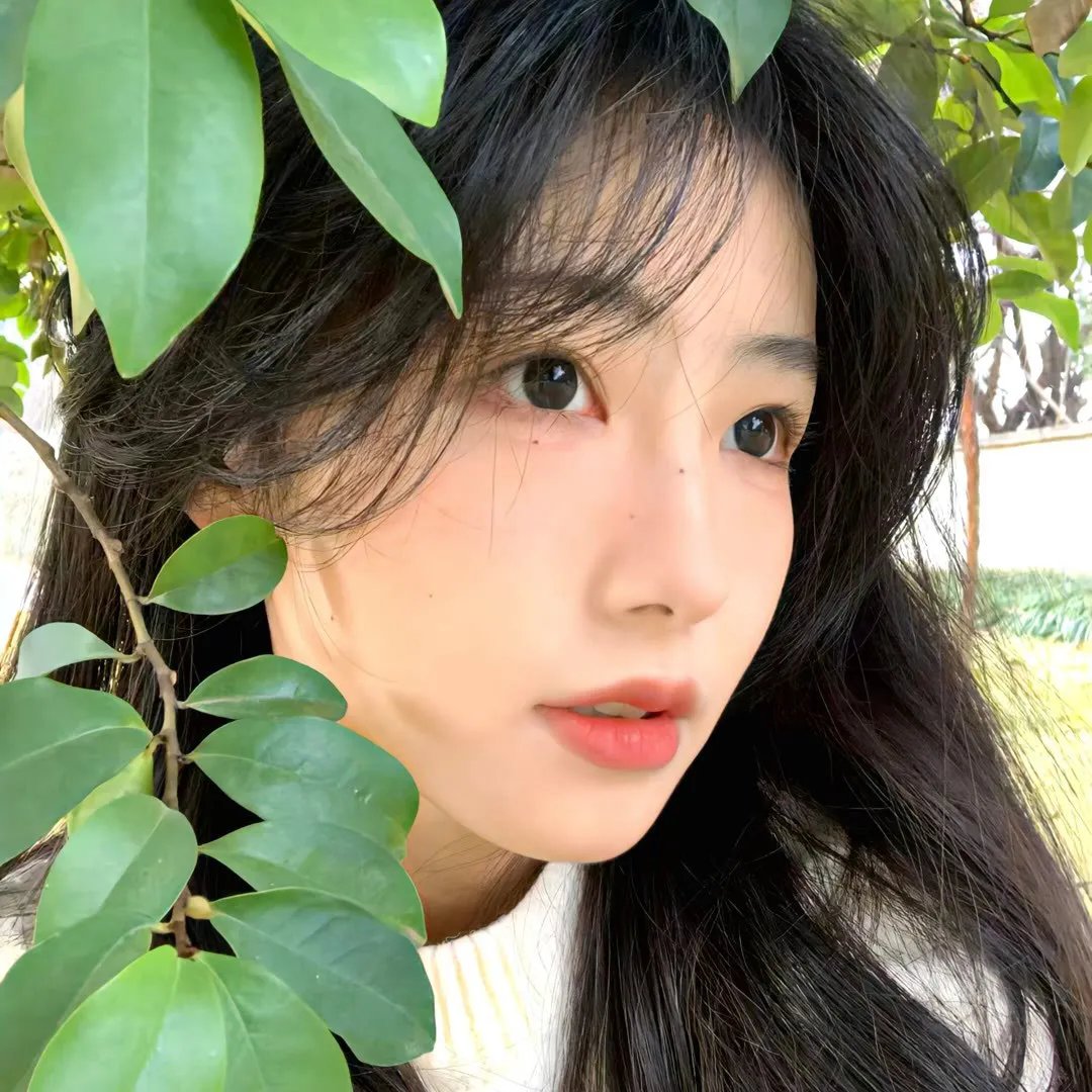 只为你遗憾