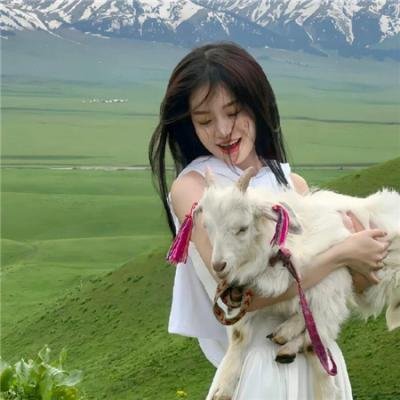 智慧囚屋 国语版